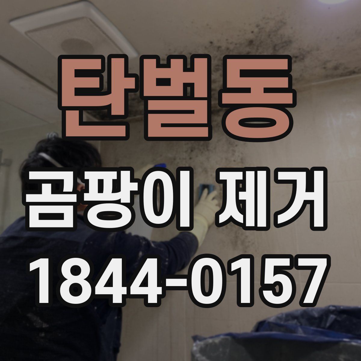 탄벌동 곰팡이 제거