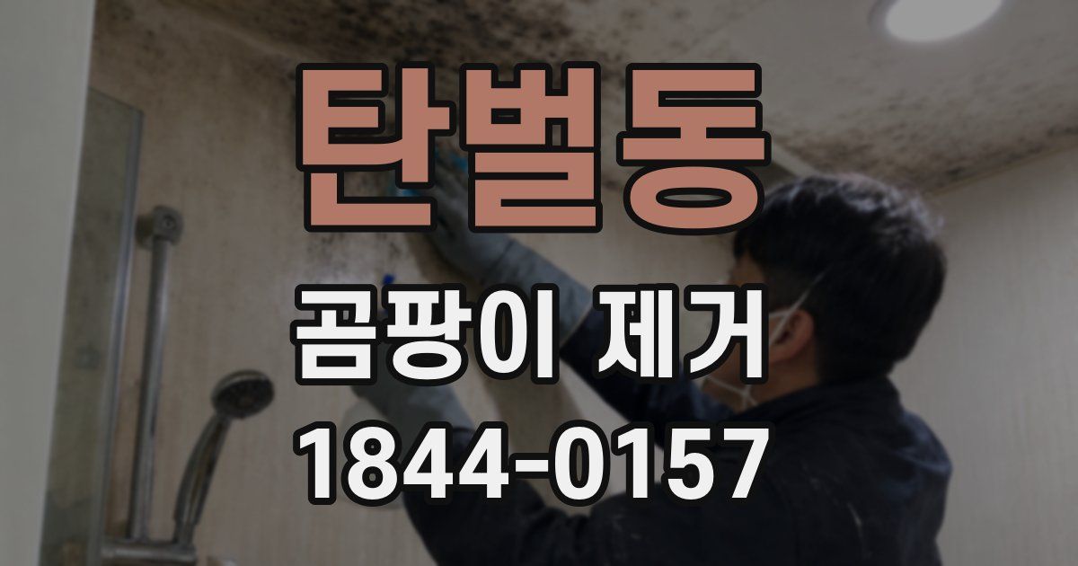 탄벌동 곰팡이 제거