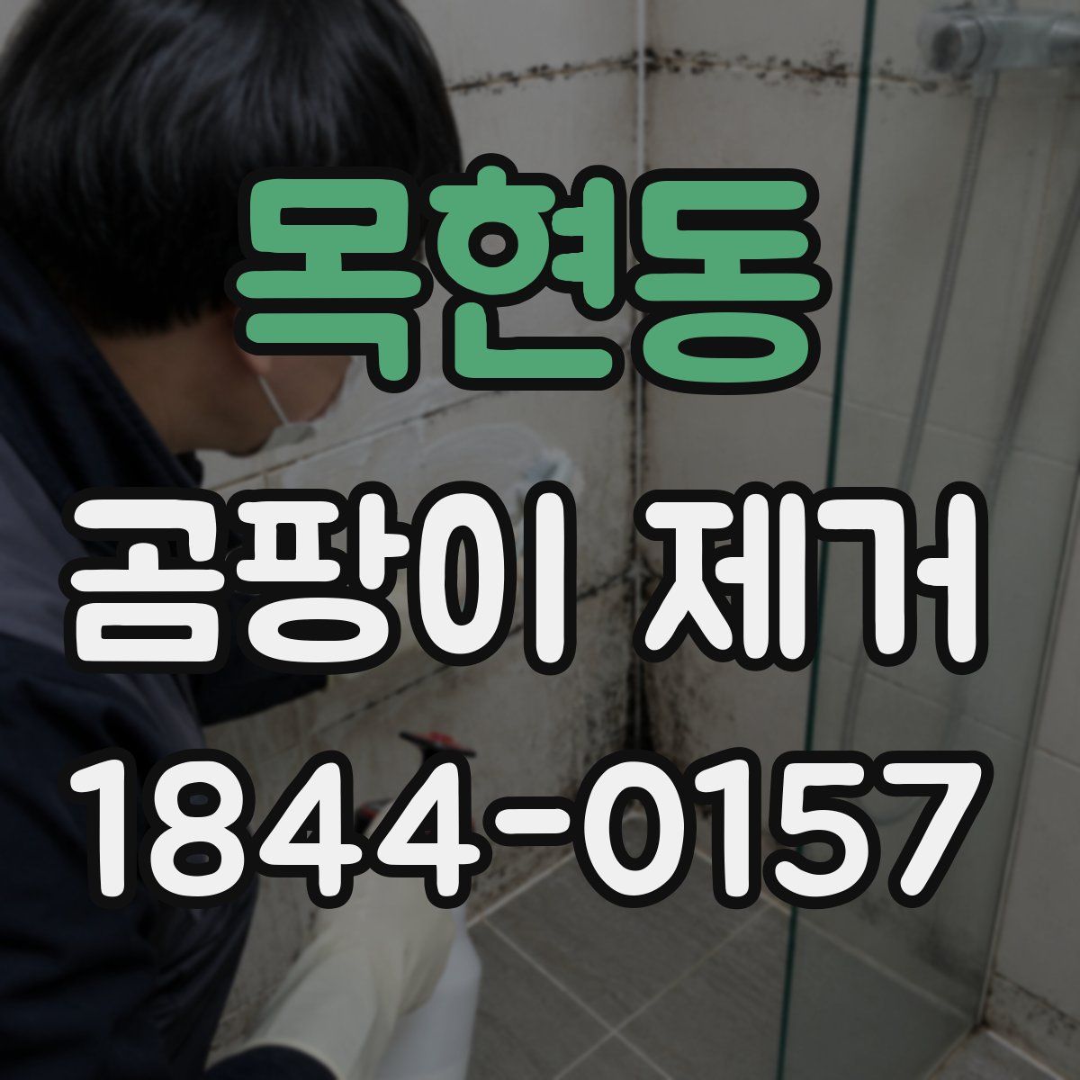 목현동 곰팡이 제거