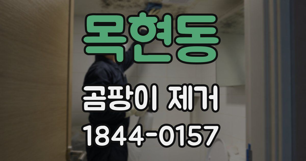 목현동 곰팡이 제거