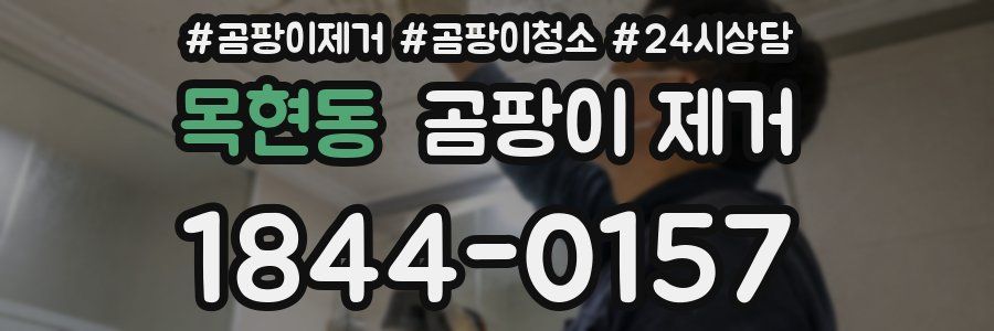목현동 곰팡이 제거