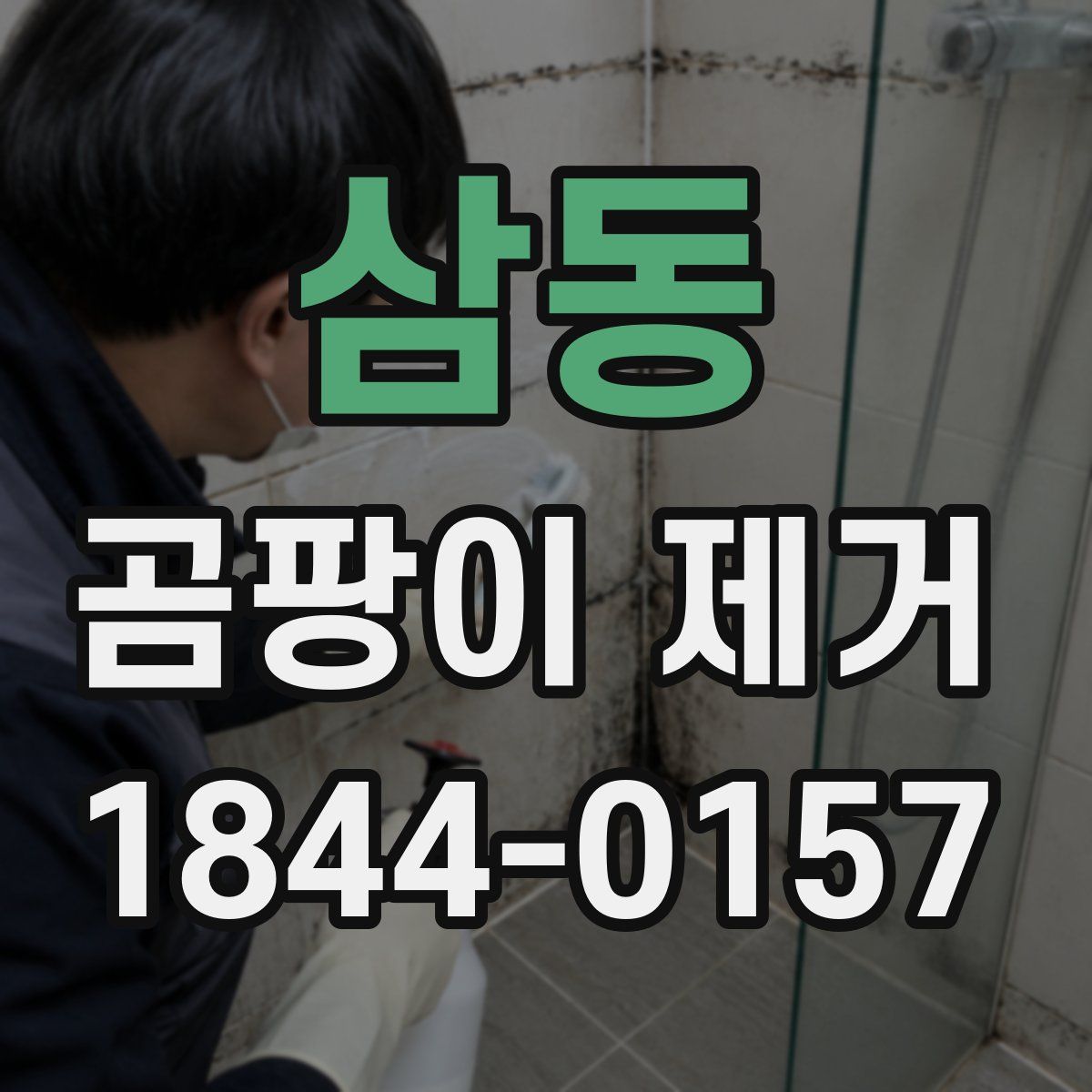 삼동 곰팡이 제거