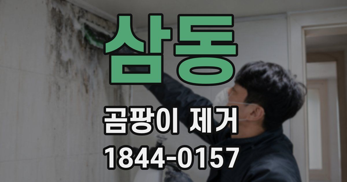 삼동 곰팡이 제거