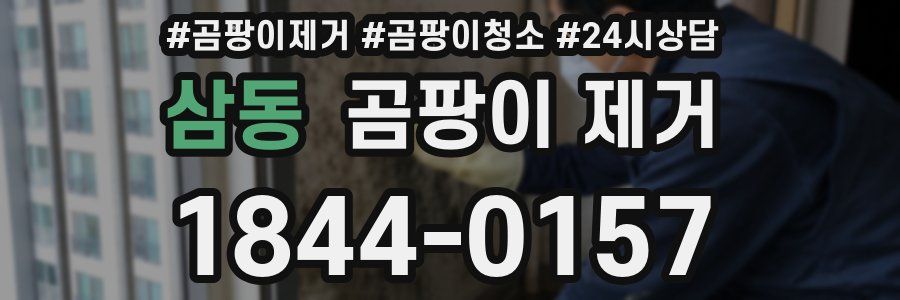 삼동 곰팡이 제거