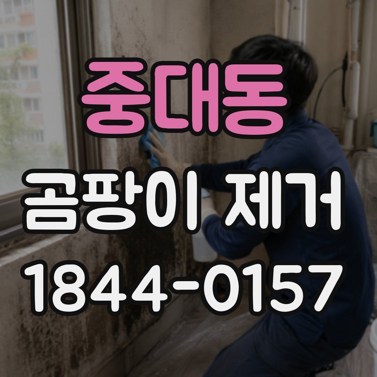 중대동 곰팡이 제거 목재와 천 소재 오염을 다루는 순서