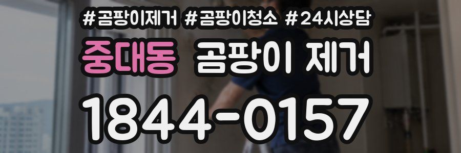 중대동 곰팡이 제거