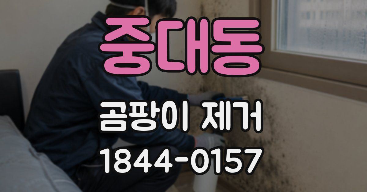 중대동 곰팡이 제거
