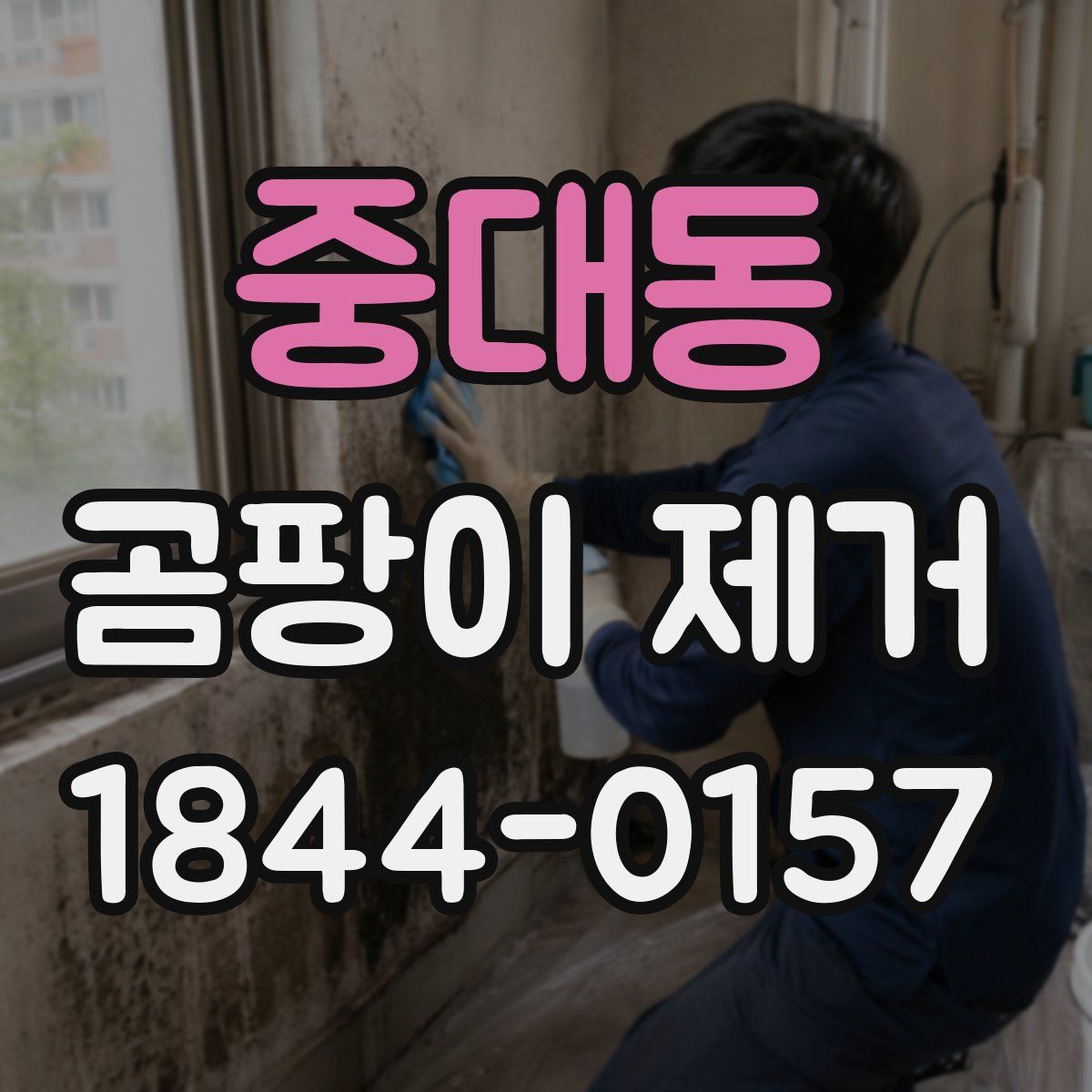 중대동 곰팡이 제거