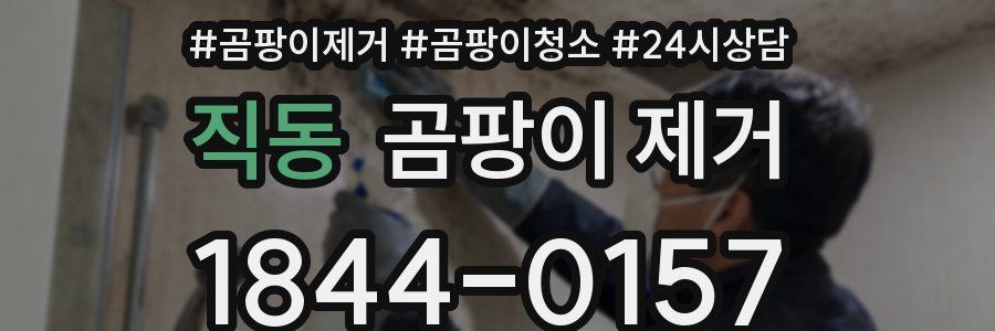 직동 곰팡이 제거