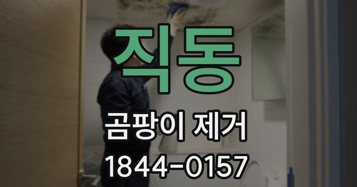 직동 곰팡이 제거