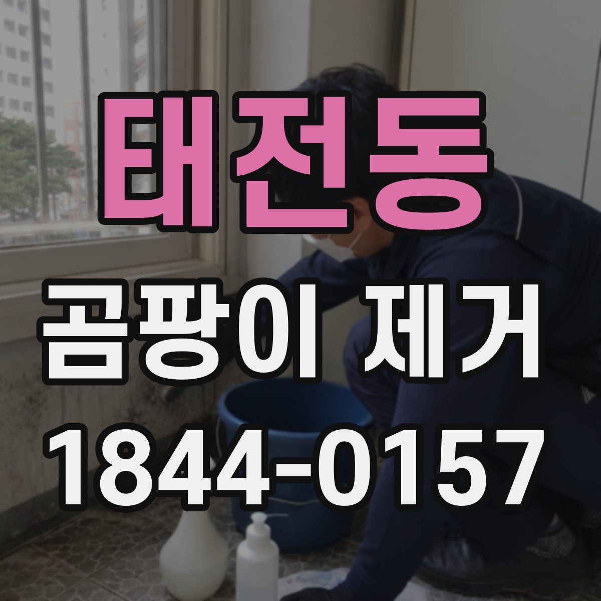 태전동 곰팡이 제거