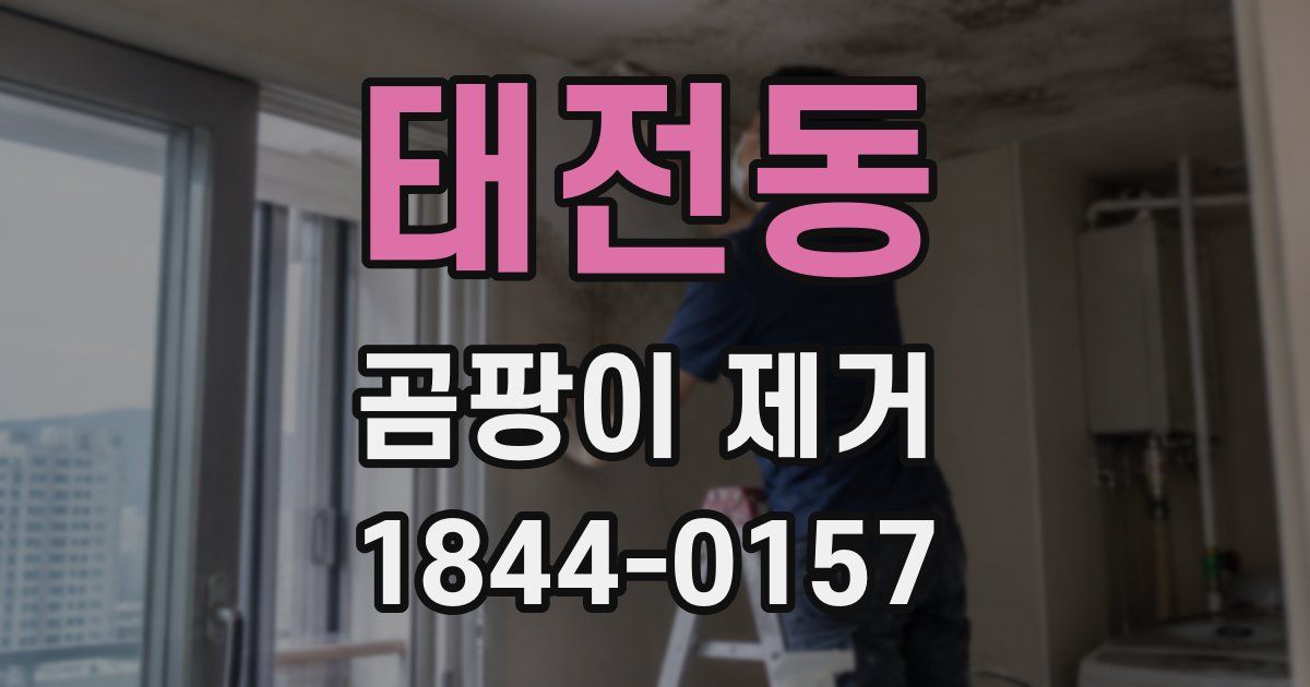 태전동 곰팡이 제거