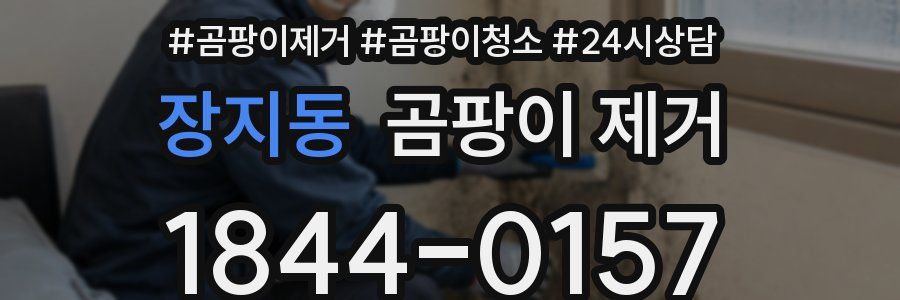 장지동 곰팡이 제거