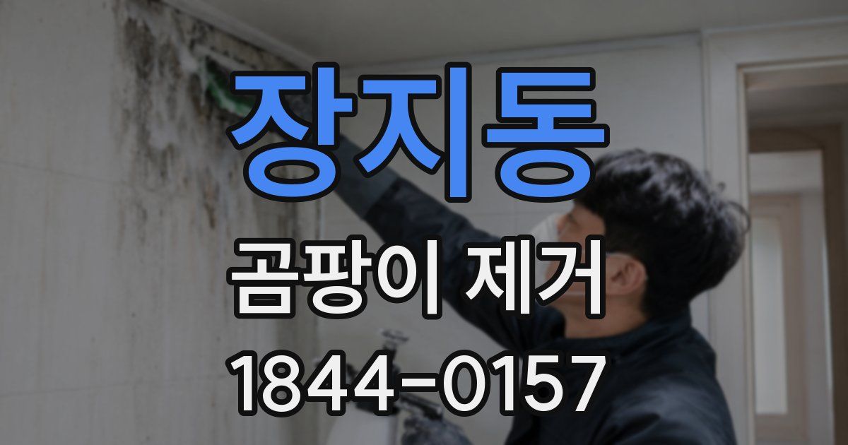 장지동 곰팡이 제거
