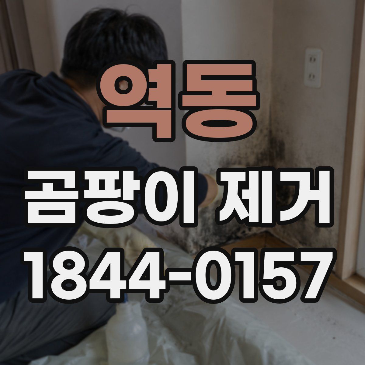 역동 곰팡이 제거