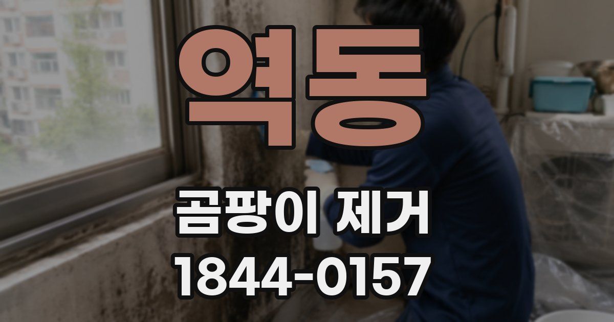 역동 곰팡이 제거