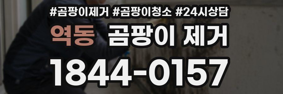 역동 곰팡이 제거