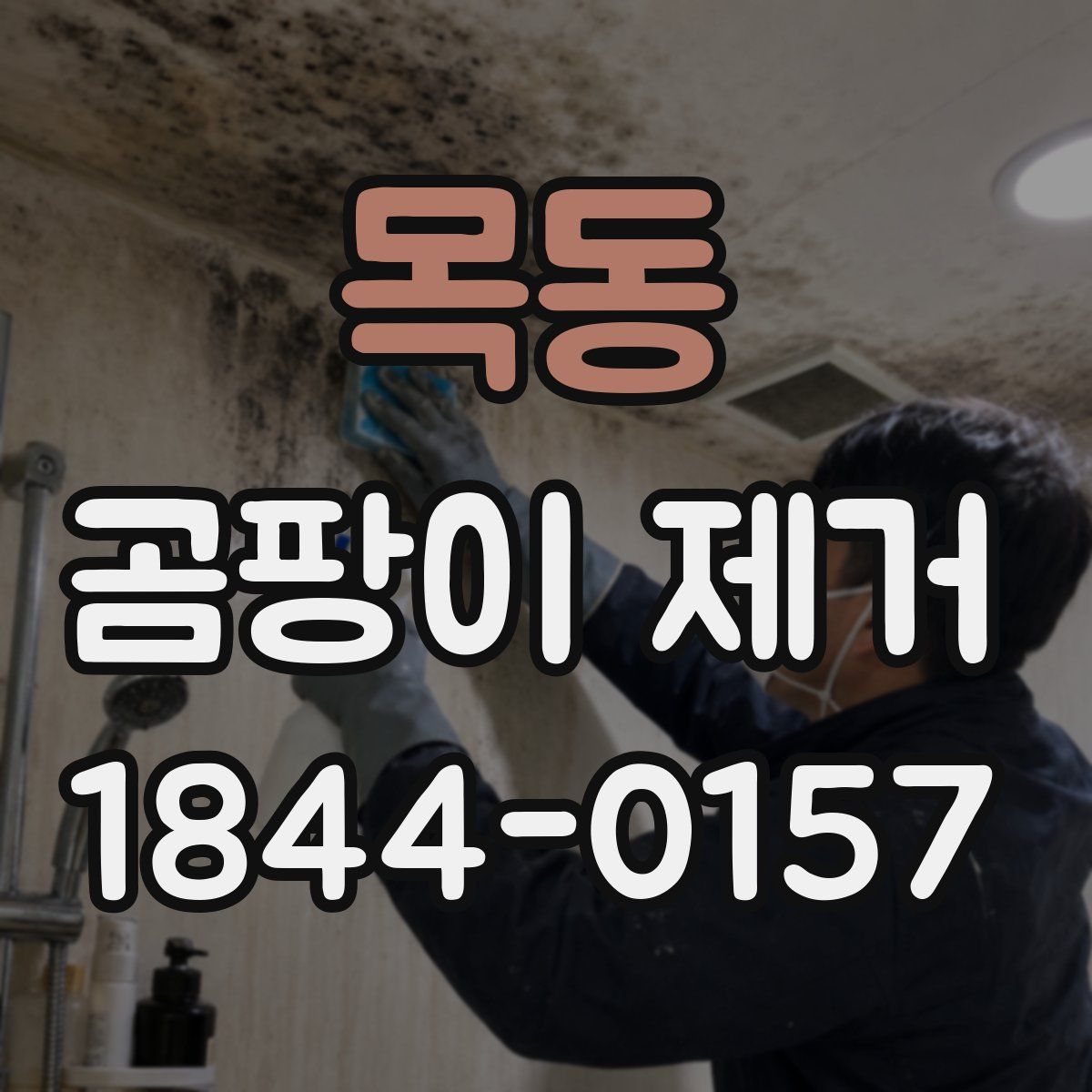 목동 곰팡이 제거