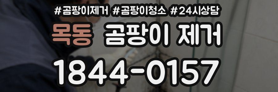 목동 곰팡이 제거