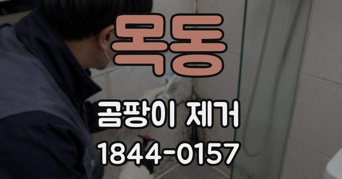 목동 곰팡이 제거