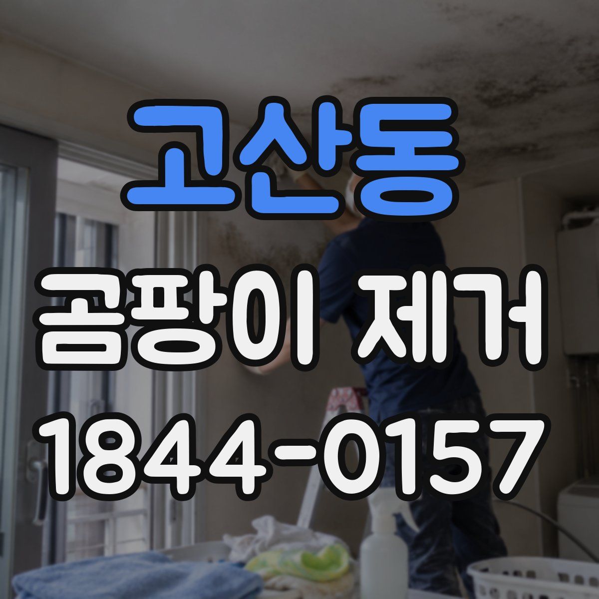 고산동 곰팡이 제거