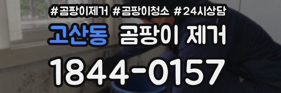 고산동 곰팡이 제거