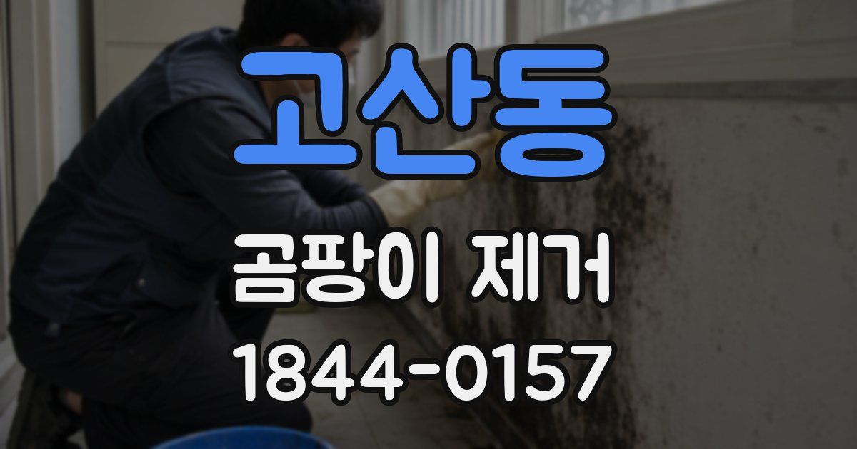 고산동 곰팡이 제거