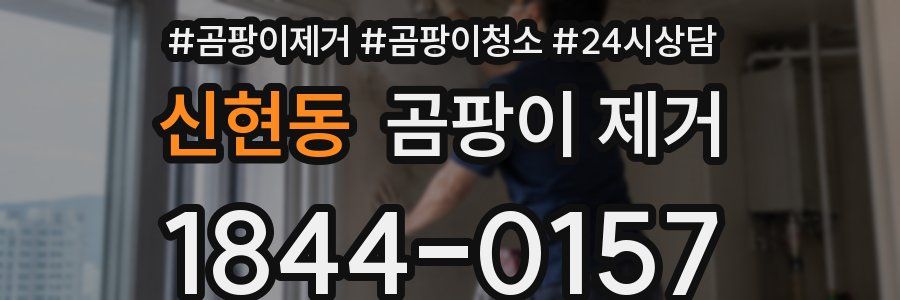 신현동 곰팡이 제거