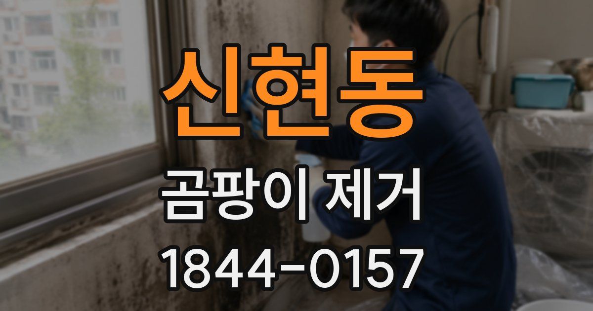 신현동 곰팡이 제거