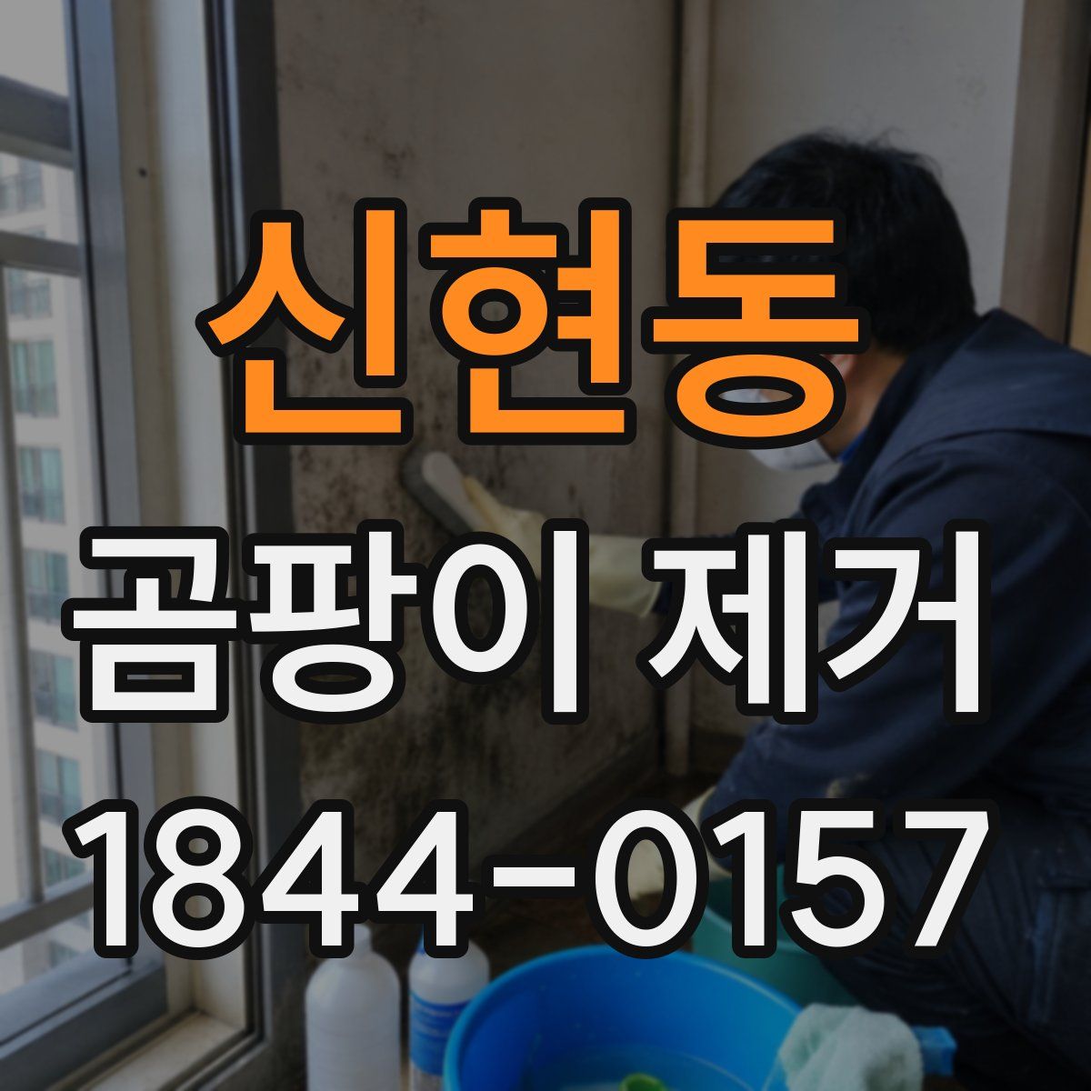 신현동 곰팡이 제거