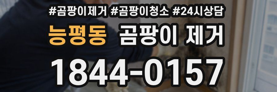 능평동 곰팡이 제거