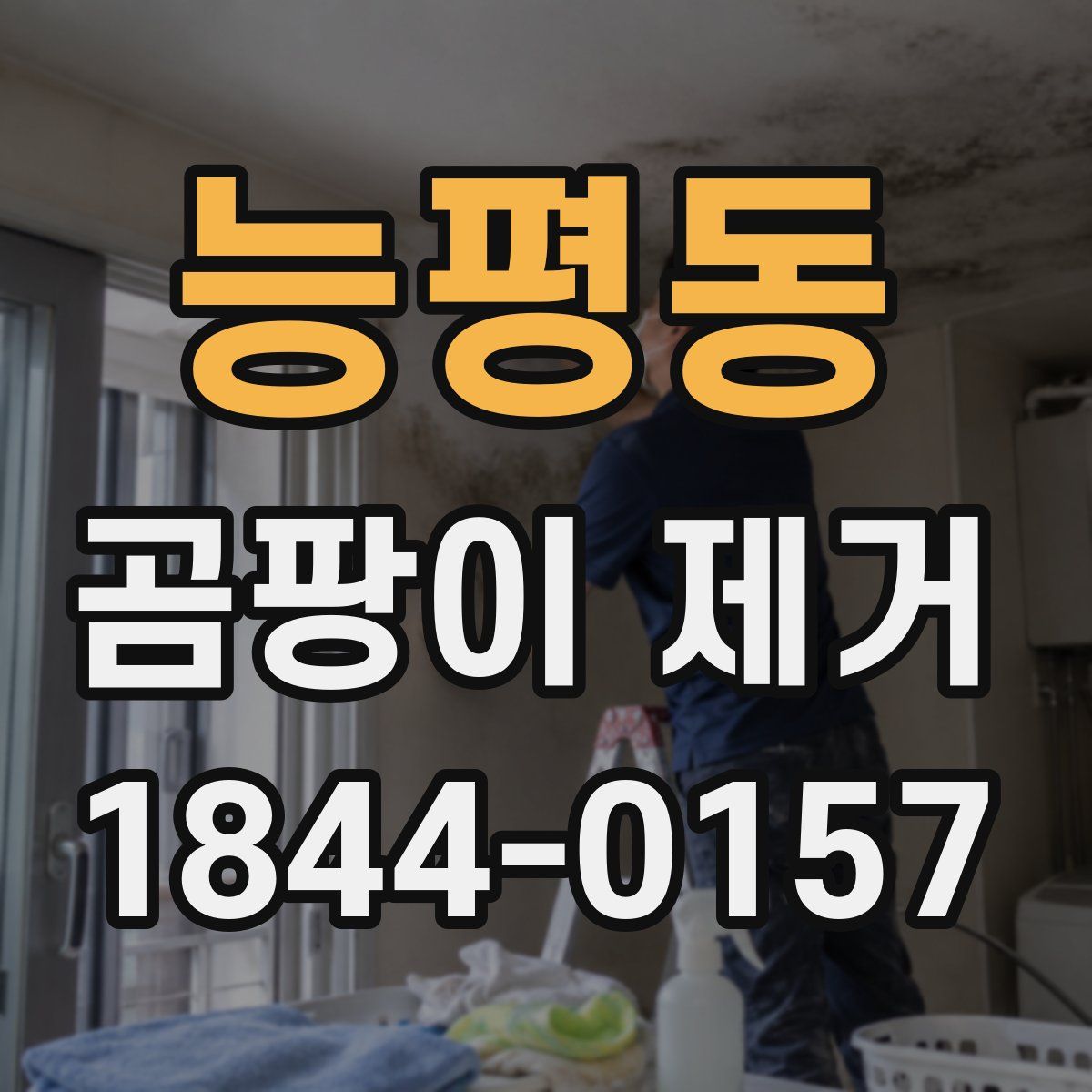 능평동 곰팡이 제거