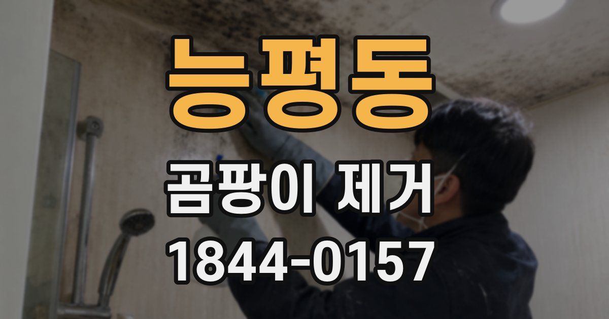 능평동 곰팡이 제거