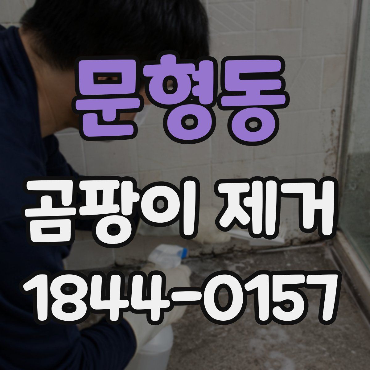 문형동 곰팡이 제거