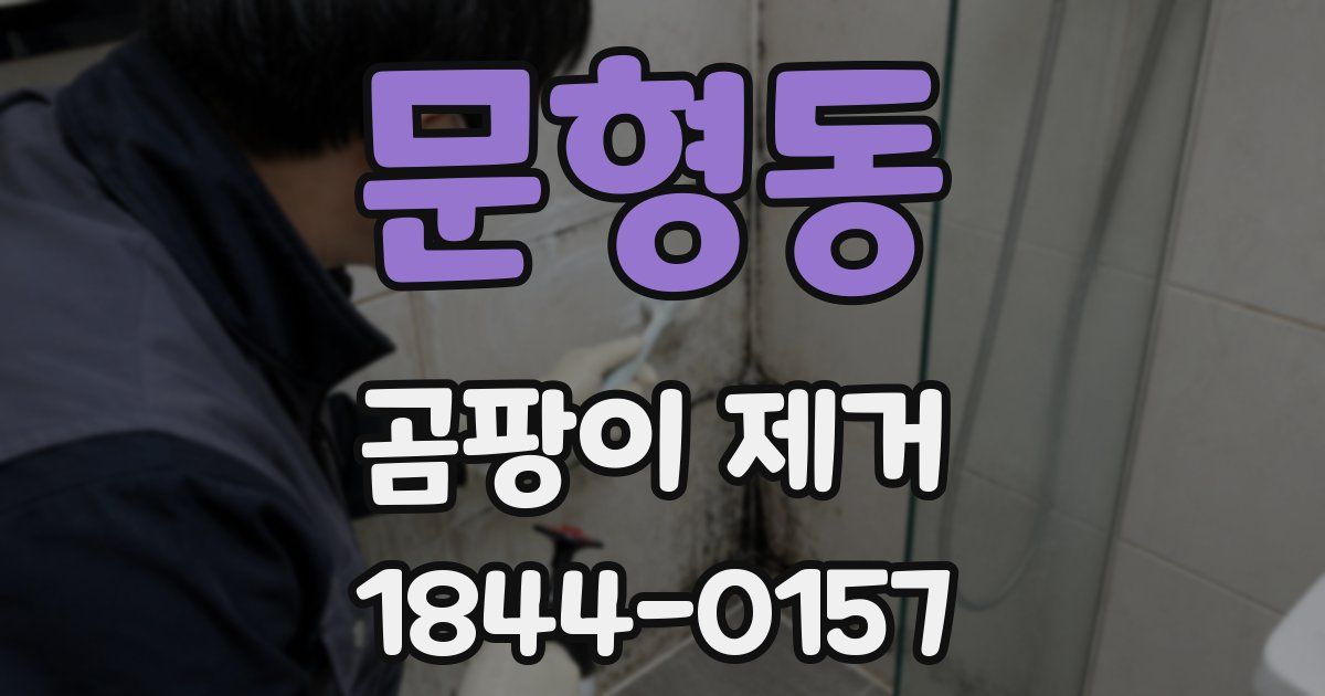문형동 곰팡이 제거