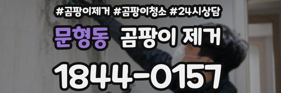 문형동 곰팡이 제거