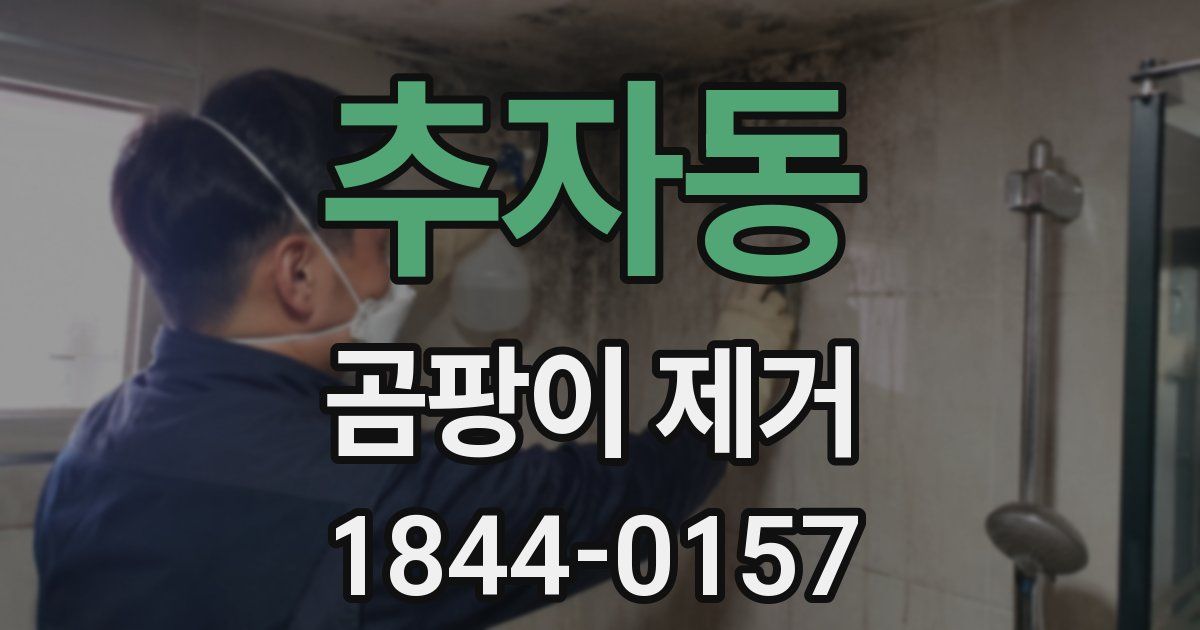 추자동 곰팡이 제거