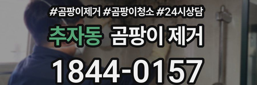 추자동 곰팡이 제거