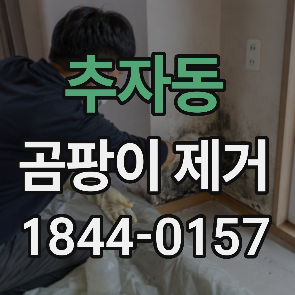 추자동 곰팡이 제거