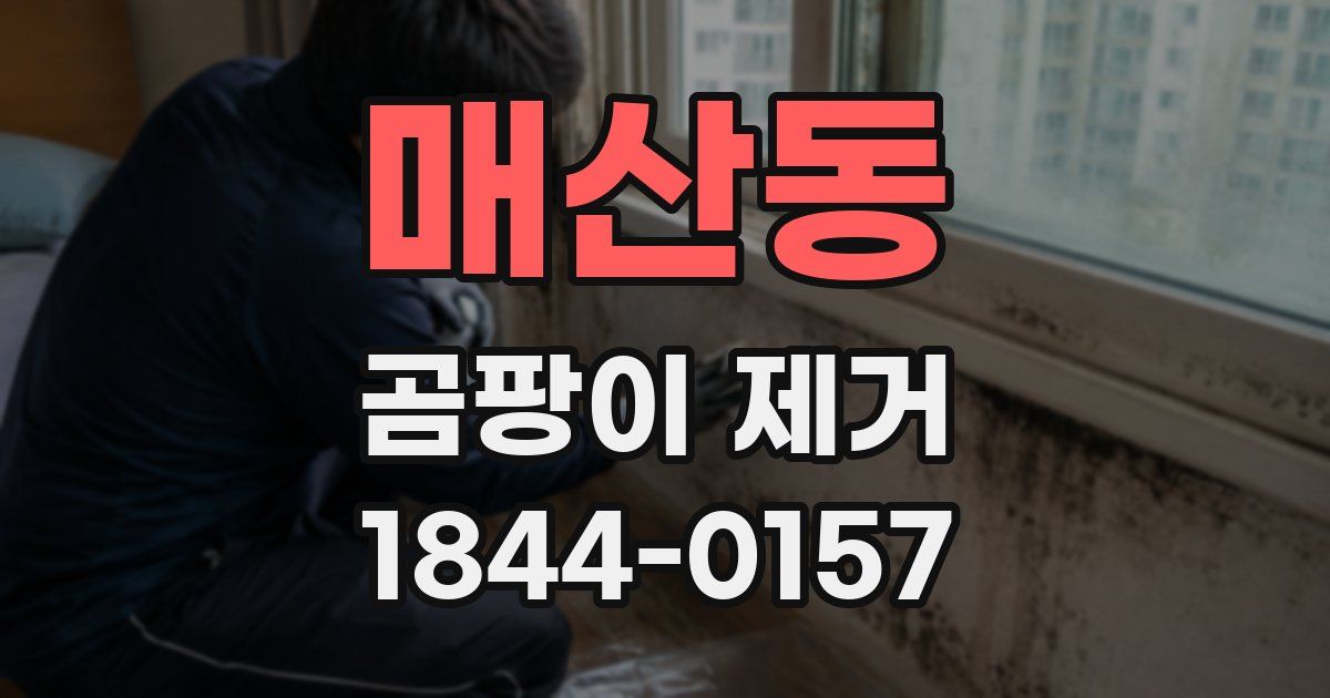 매산동 곰팡이 제거