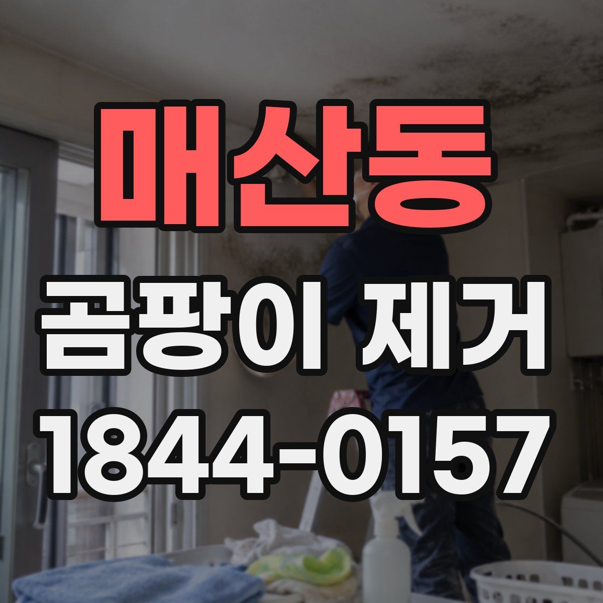 매산동 곰팡이 제거