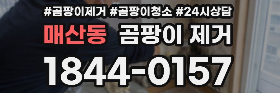 매산동 곰팡이 제거