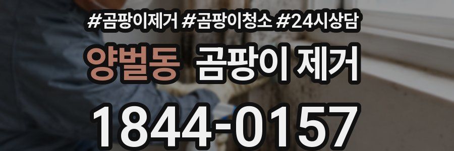 양벌동 곰팡이 제거
