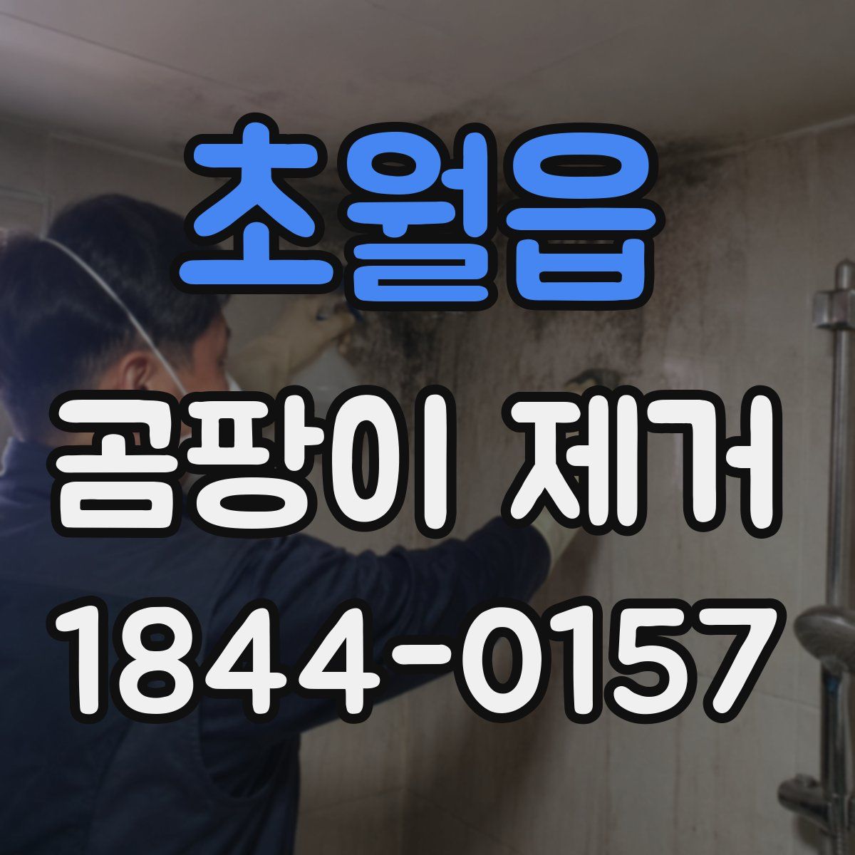 초월읍 곰팡이 제거
