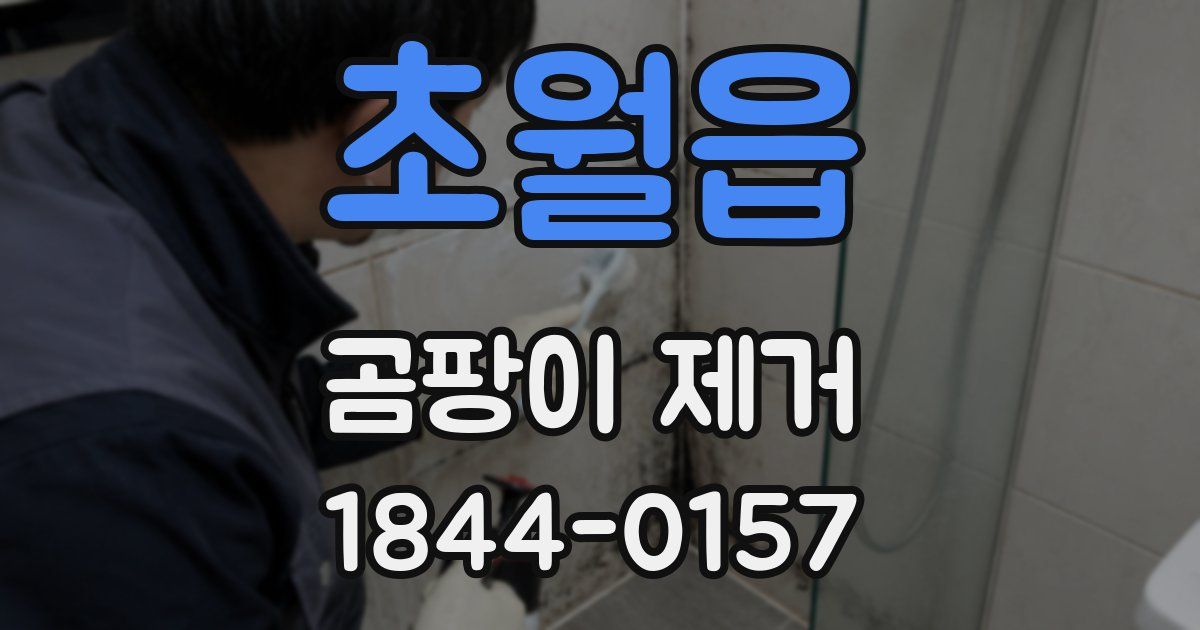 초월읍 곰팡이 제거