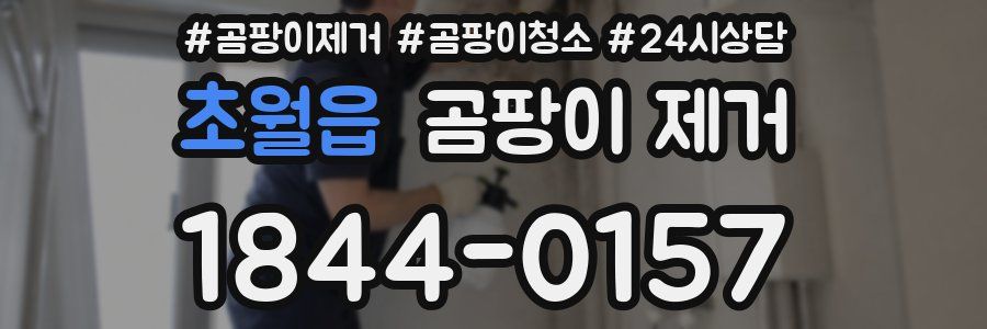 초월읍 곰팡이 제거