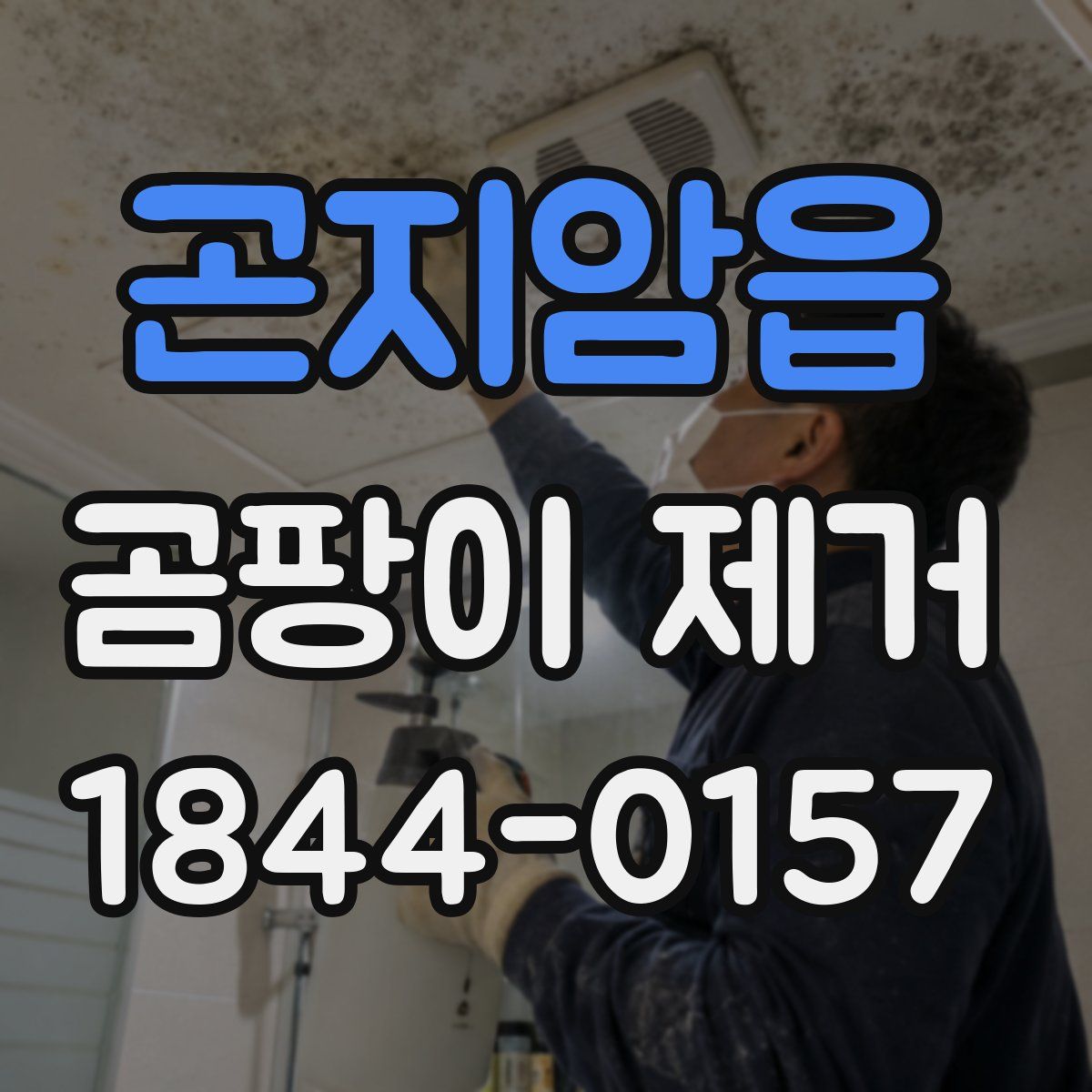 곤지암읍 곰팡이 제거