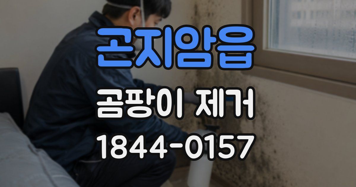 곤지암읍 곰팡이 제거