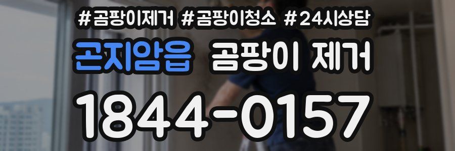 곤지암읍 곰팡이 제거