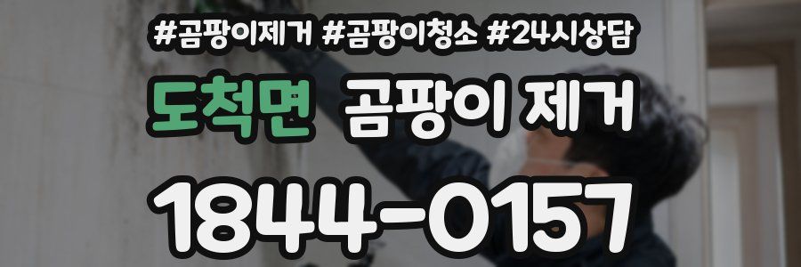 도척면 곰팡이 제거